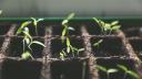 Updates for parsnip packages